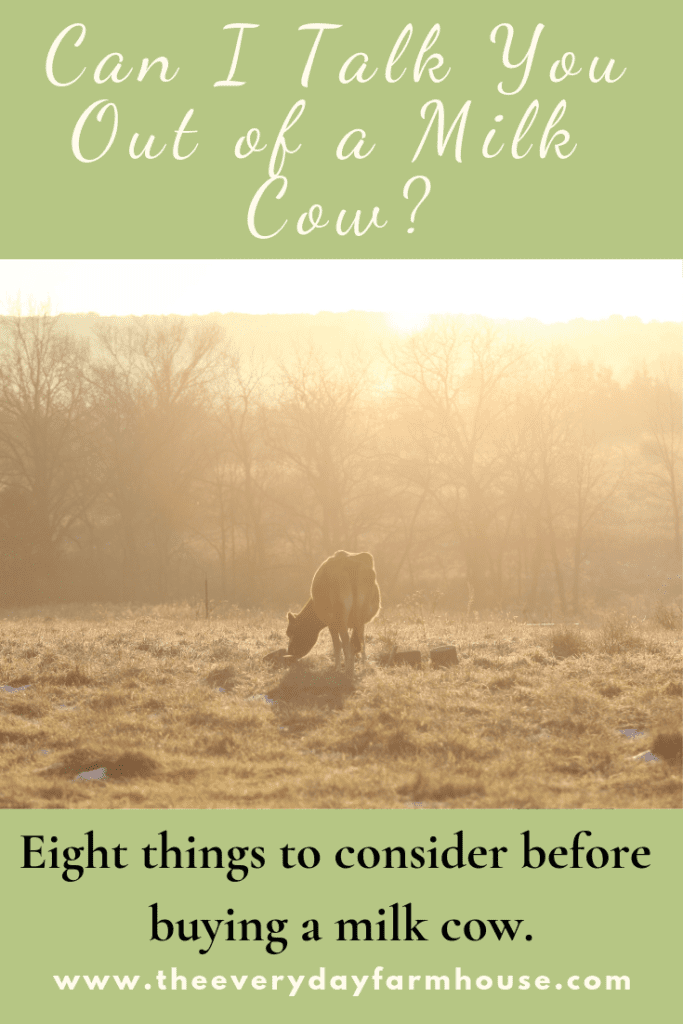 Pin can I talk you out of a milk cow.  Eight things to consider before buying a cow.