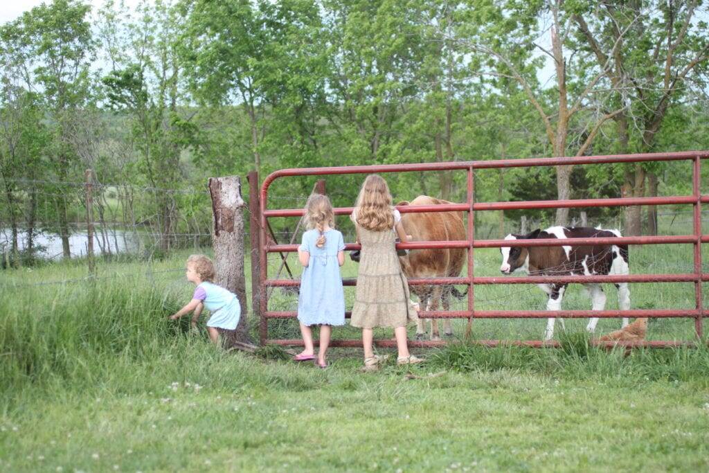 girls homestead cows