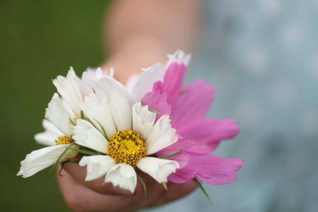 flowers homesteading children