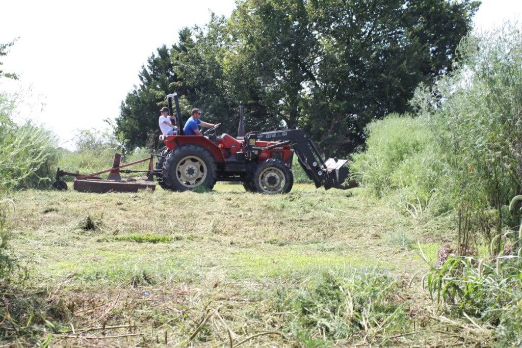 tractor farm homestead children