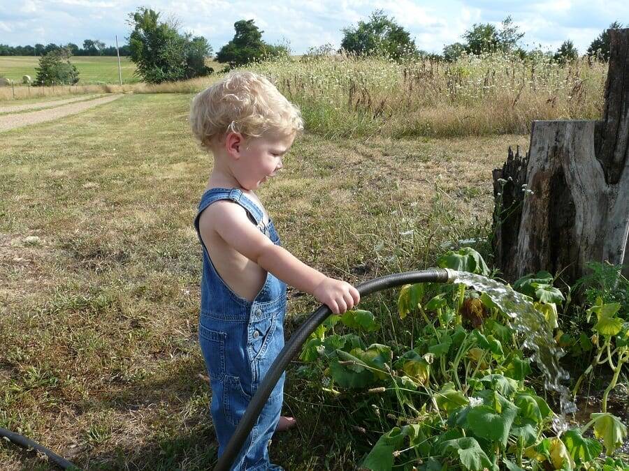 children watering homestead