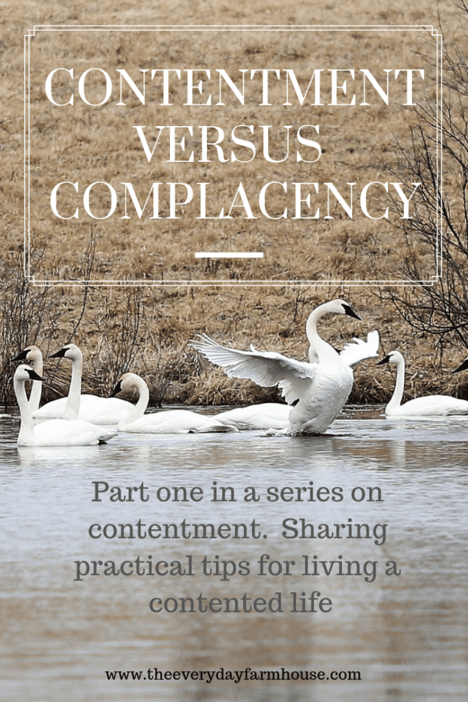 Contentment vs Complacency