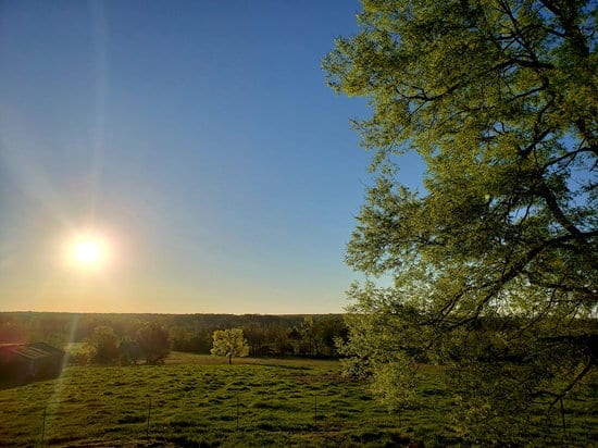 Homesteading wide open spaces