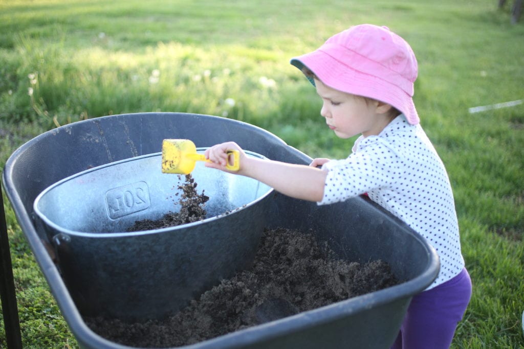  soil for planting lavender in containers