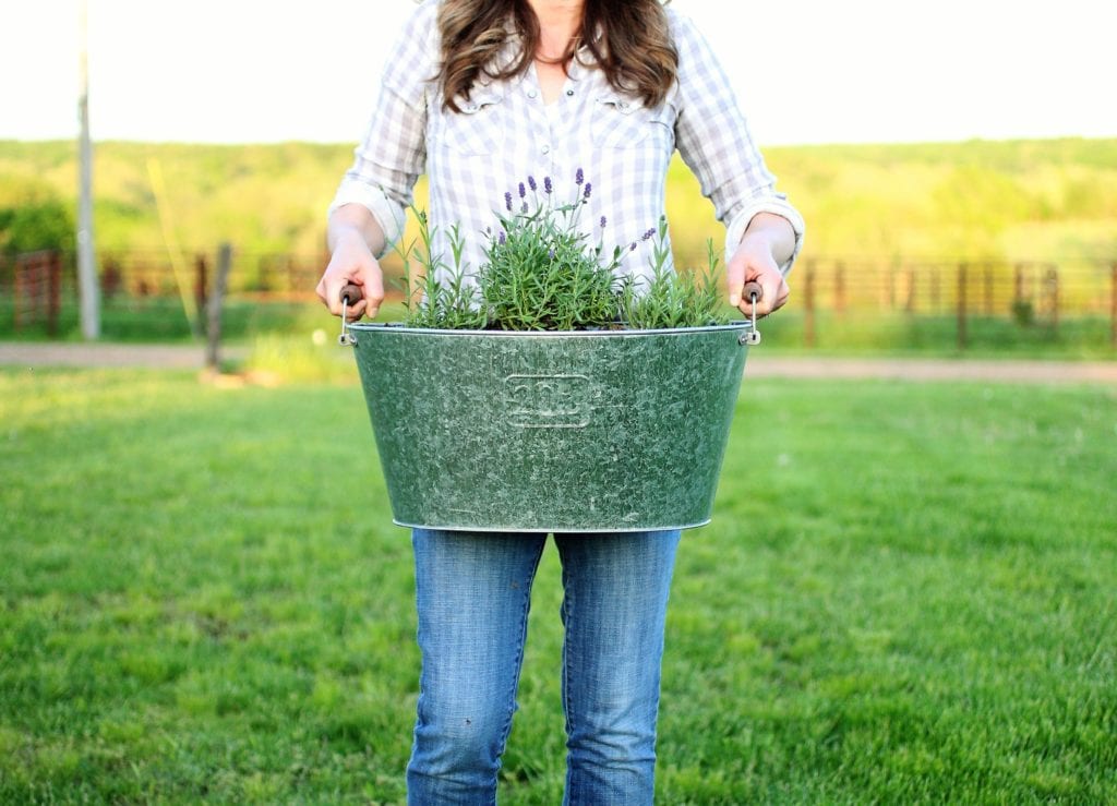 Lavender galvanized tub