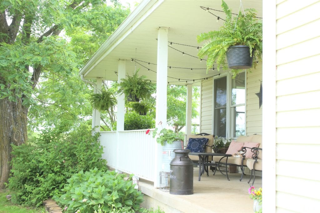 Front porch boston ferns