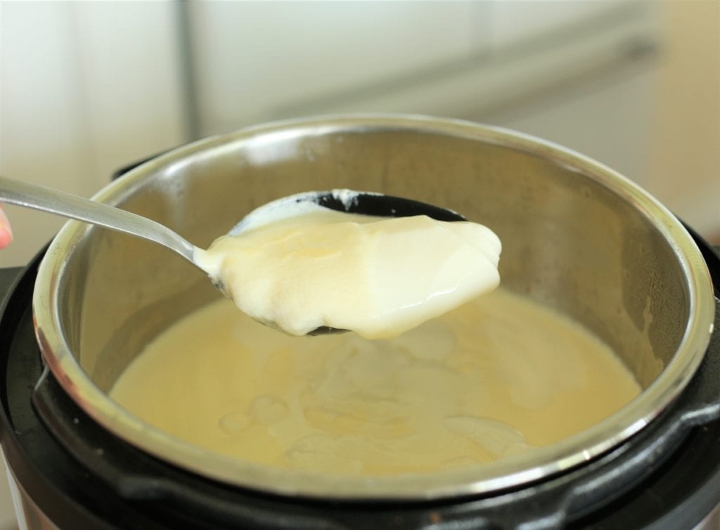 Instant pot discount raw milk yogurt