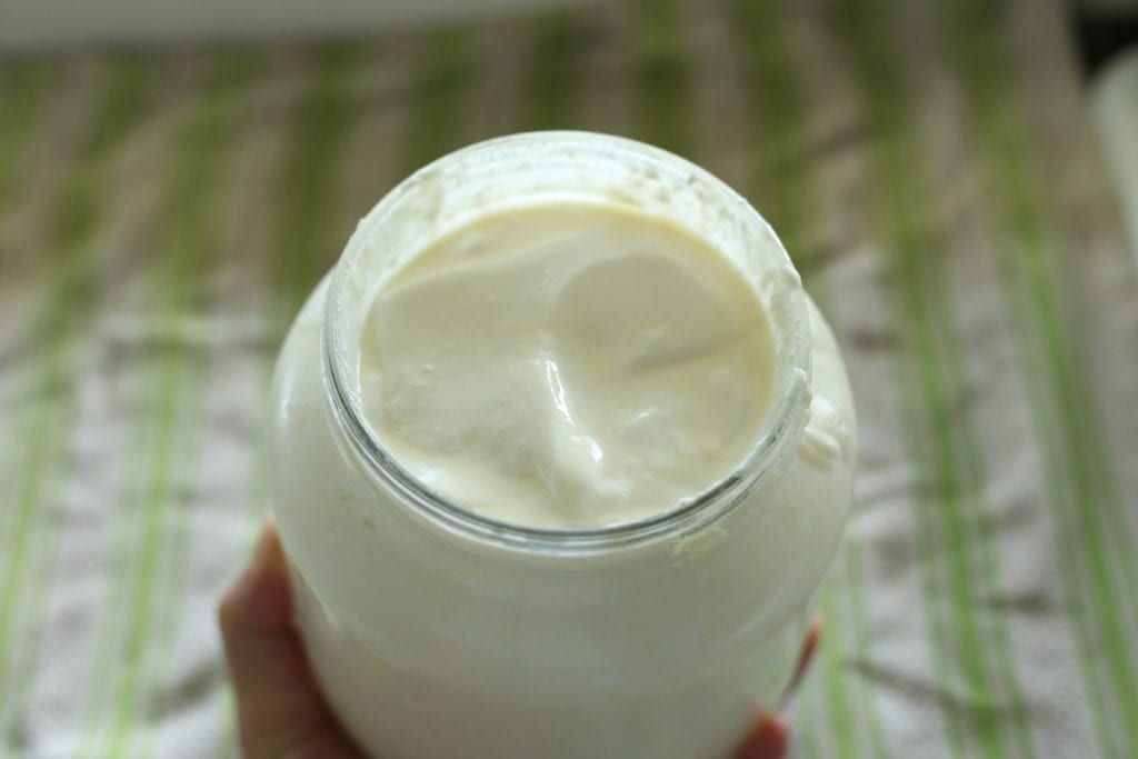 raw milk yogurt
