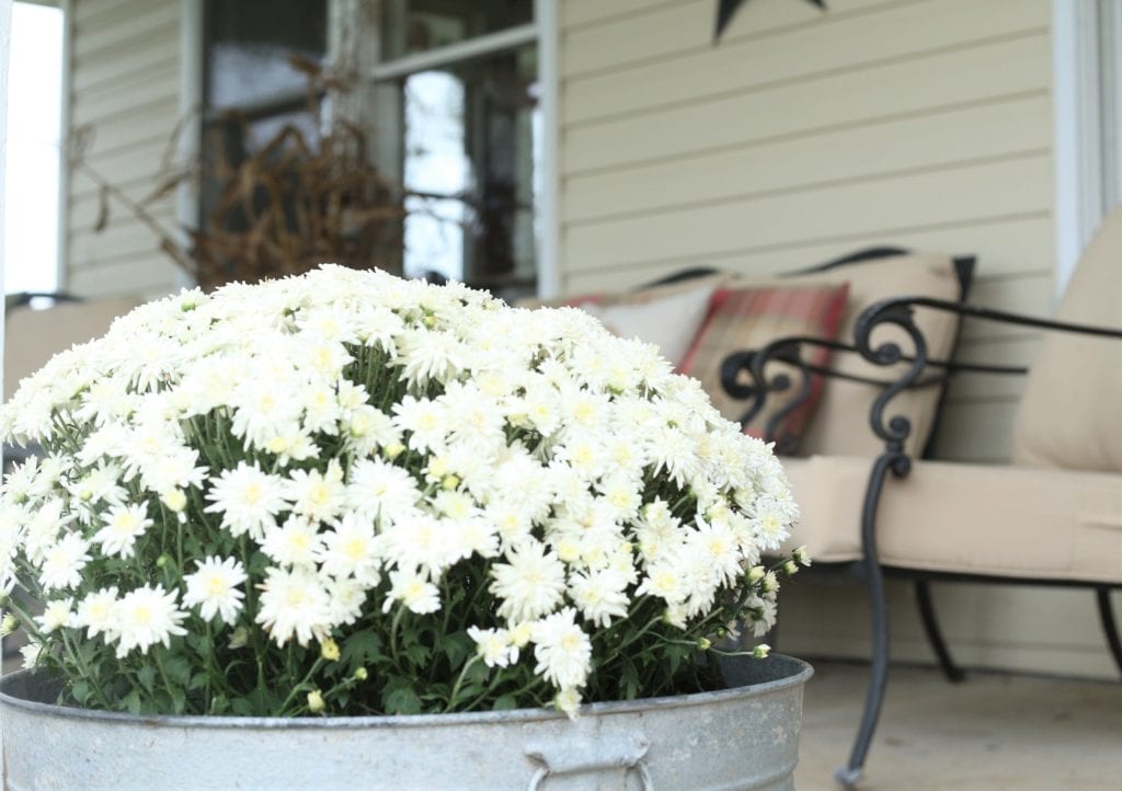 Fall Front Porch Mum