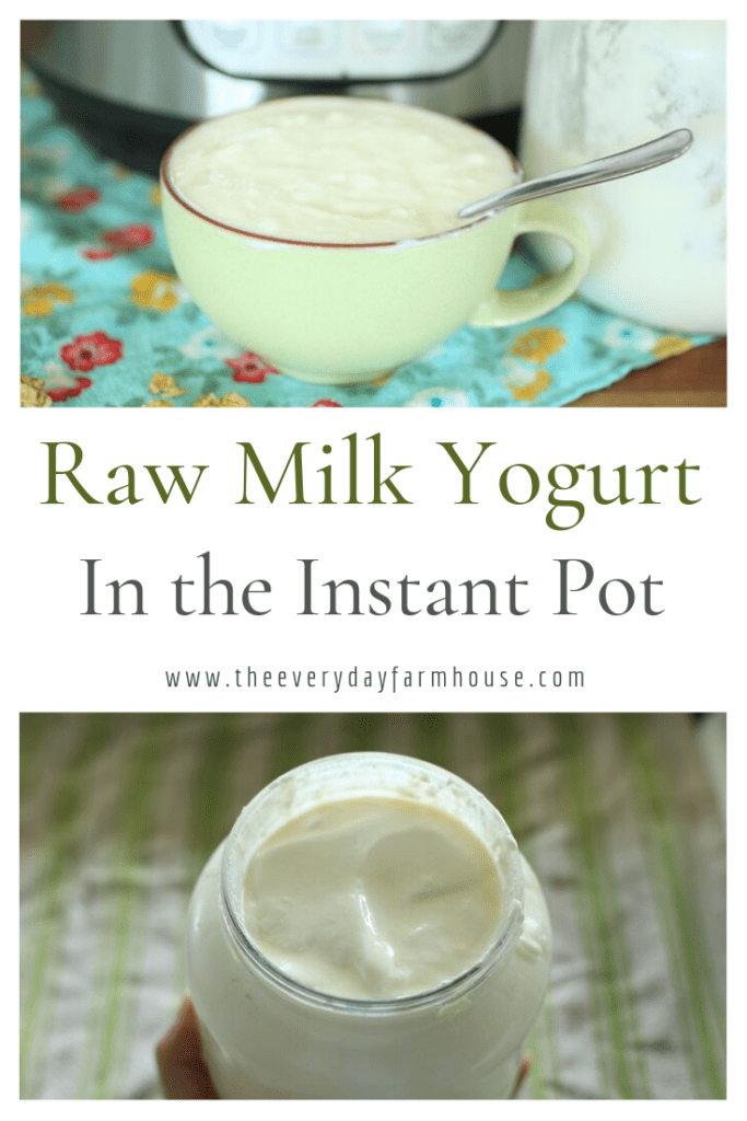 raw milk yogurt