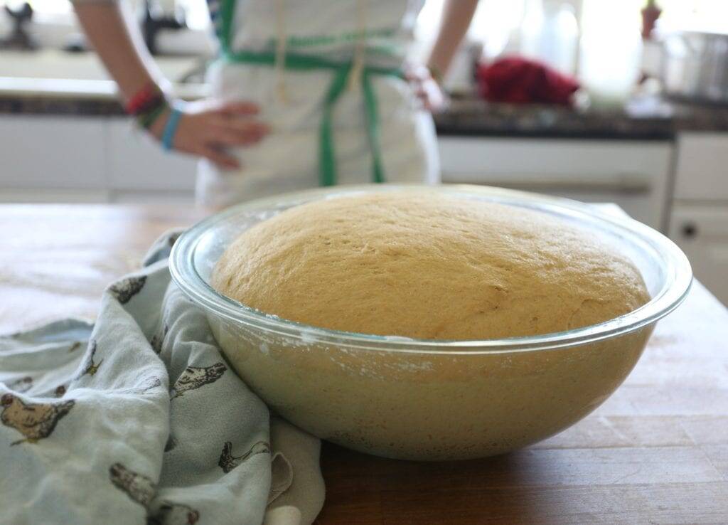 dough risen for yeast rolls