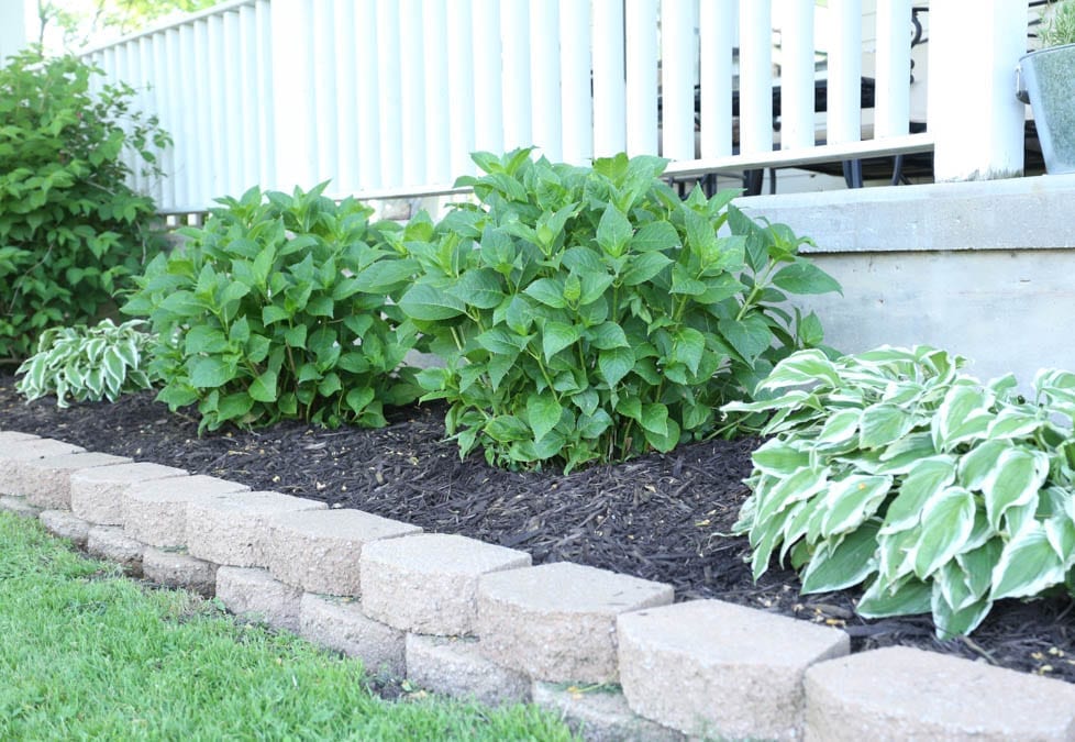 front yard refresh