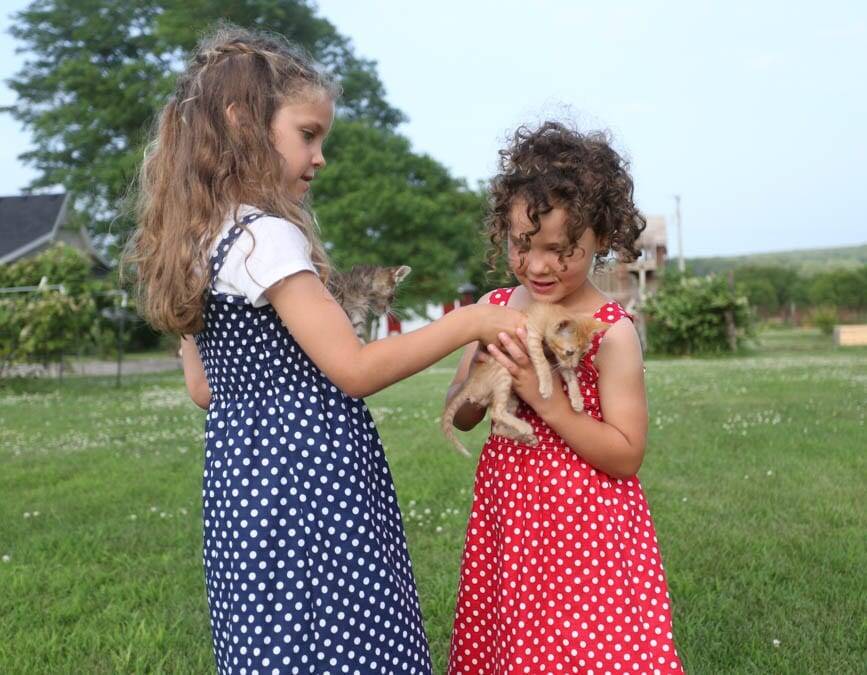 little girls and kitten wearing shirred sundresses