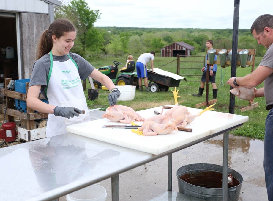 girl butchering chicken