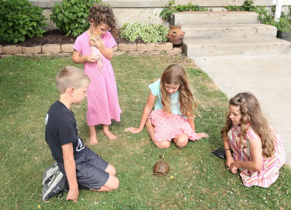 kids with a turtle