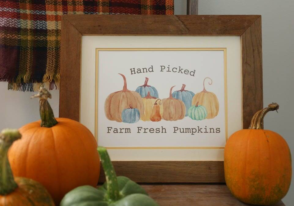 farm fresh pumpkins printable