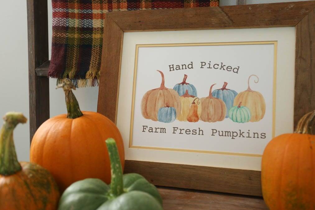 hand picked pumpkin printable