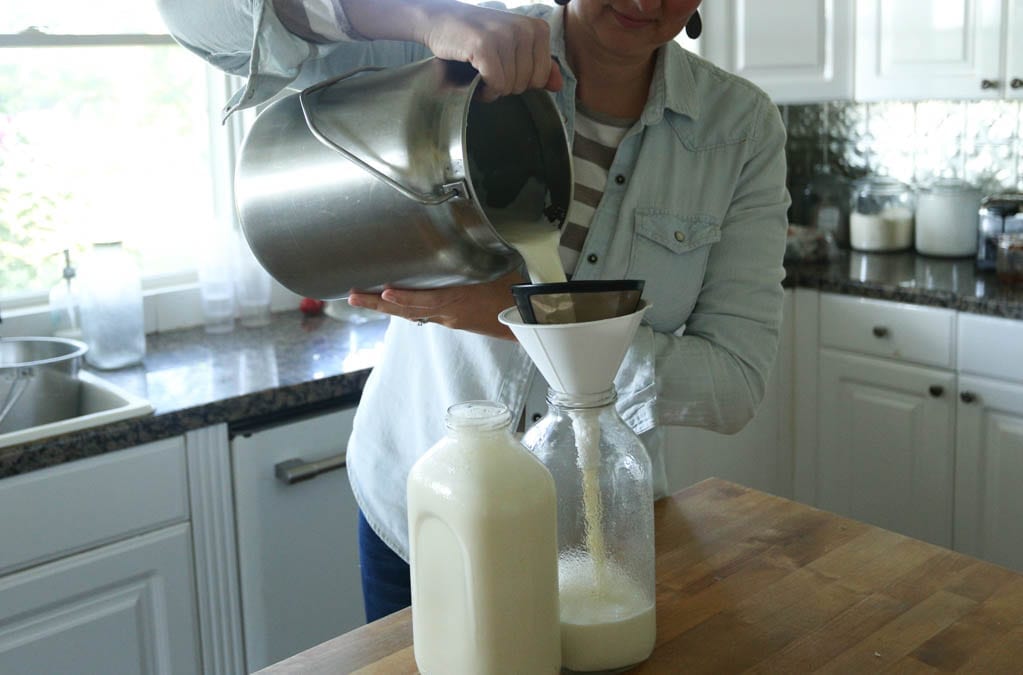 straining milk