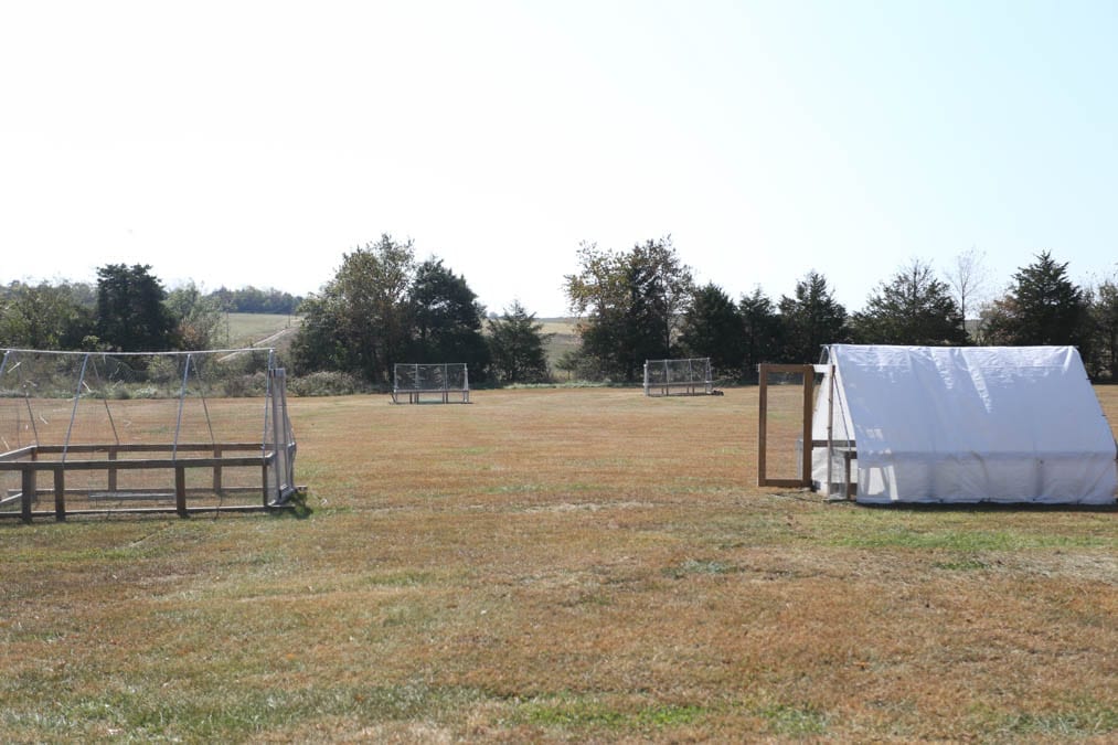 mobile pen for pastured meat chickens