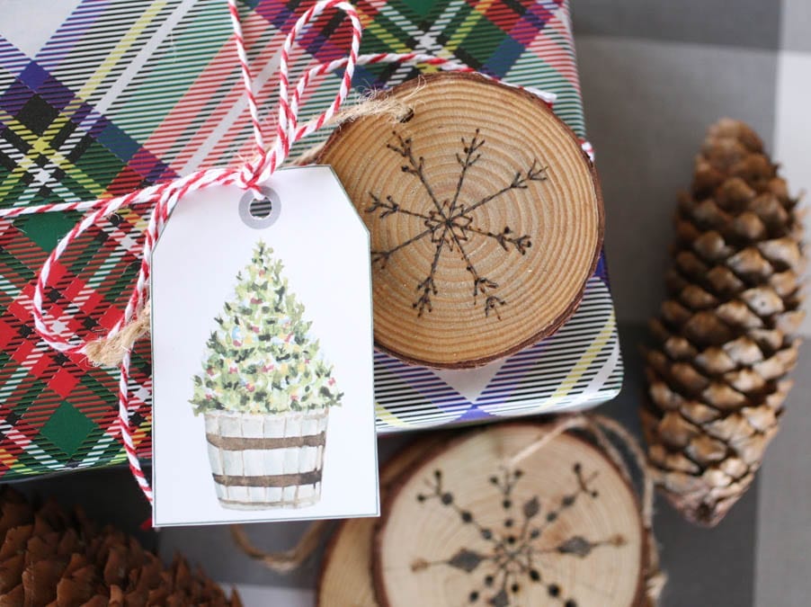 Wood burned wood slices