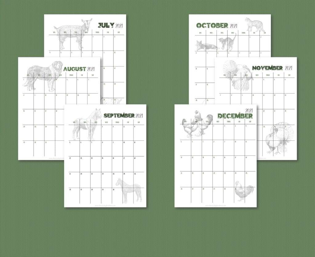 Introducing Our Homestead Farm Planner The Everyday Farmhouse