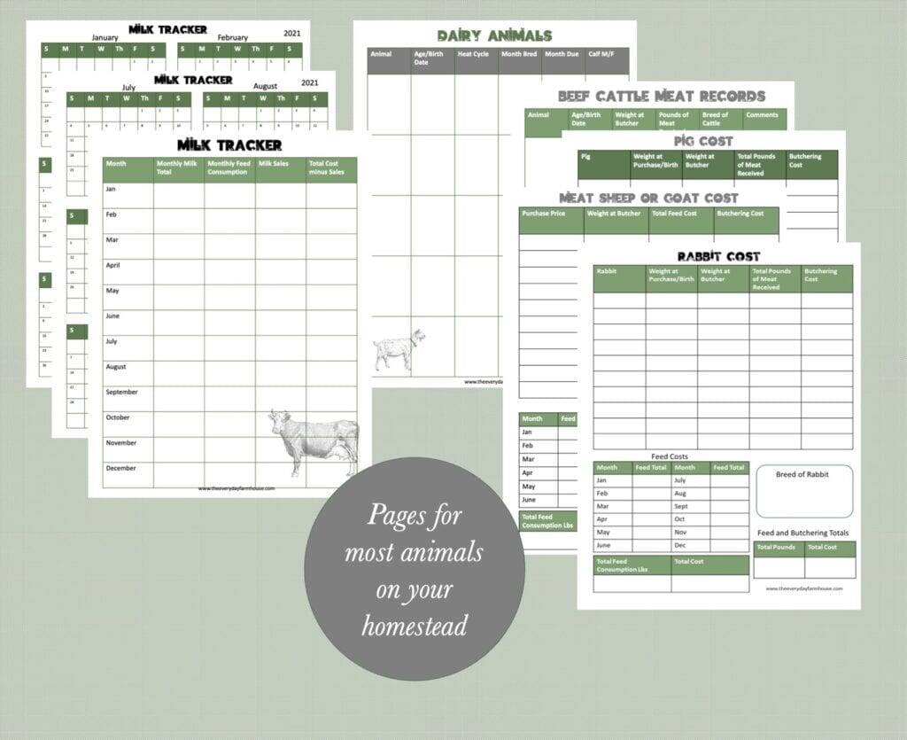 Egg Tracker Bullet Journal Spread — Pacific Northwest Homesteader