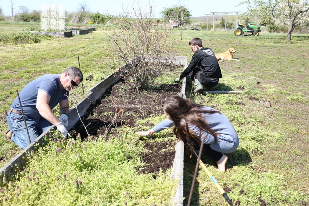 children helping on the homestead