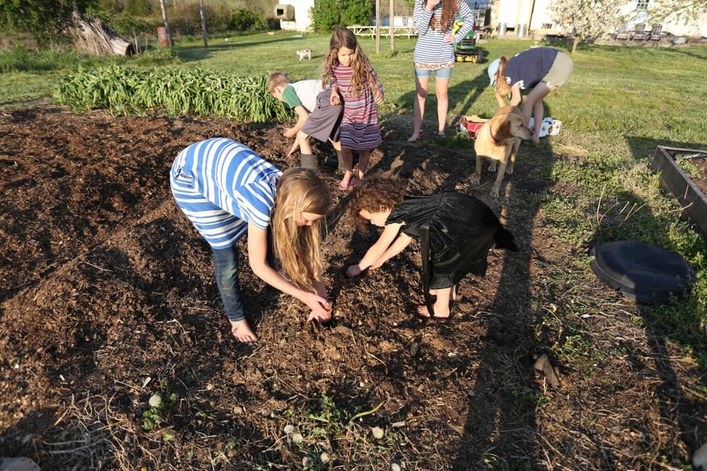 garden tips kids working