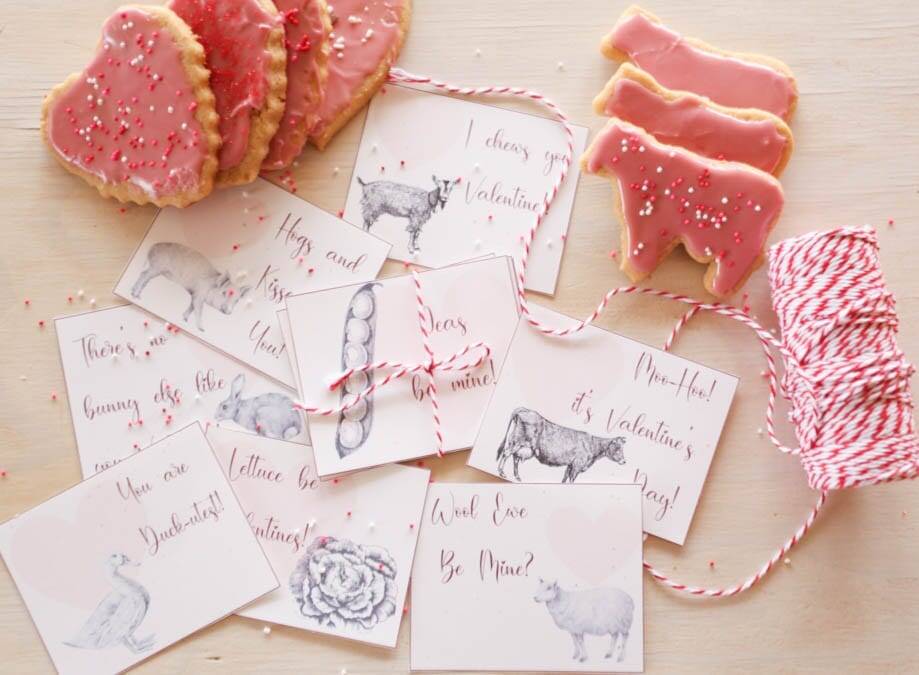 Whole Wheat Sugar Cookies & Free Printable Farm Valentines for You!