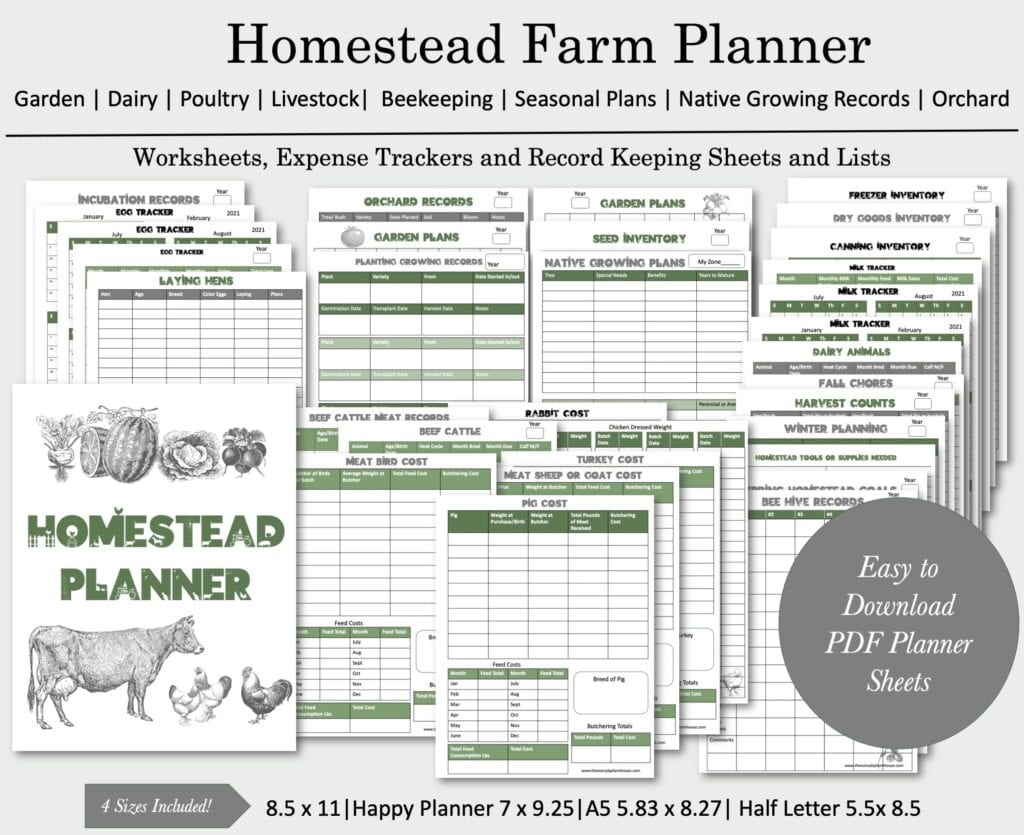 homestead planner mockup