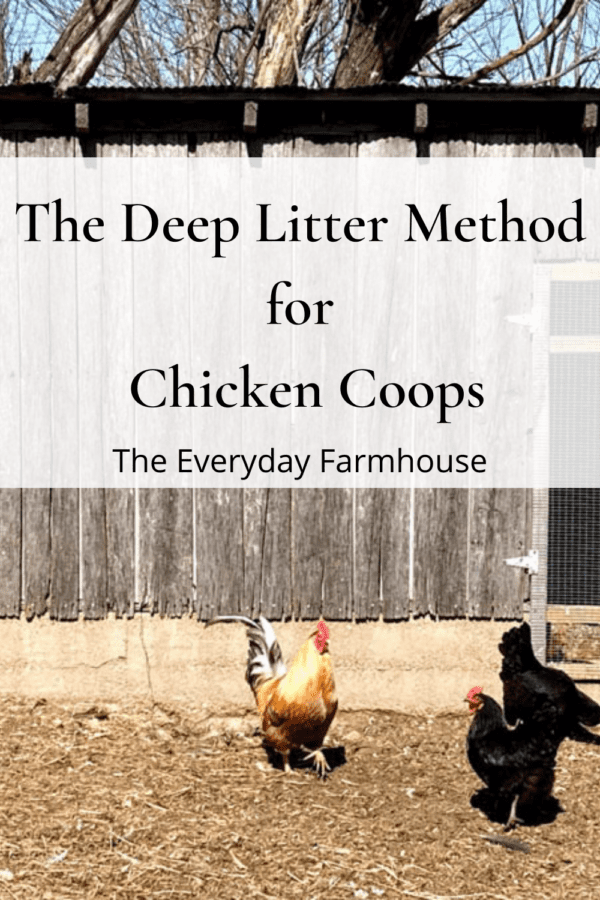 Chicken Coop Cleaning The Deep Litter Method The Everyday Farmhouse