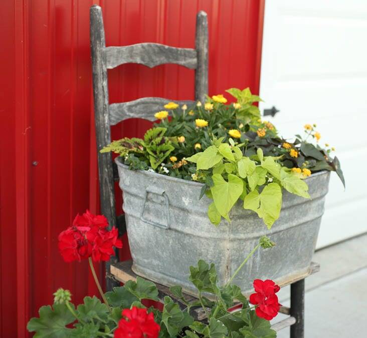 Large, Flower pots and planters