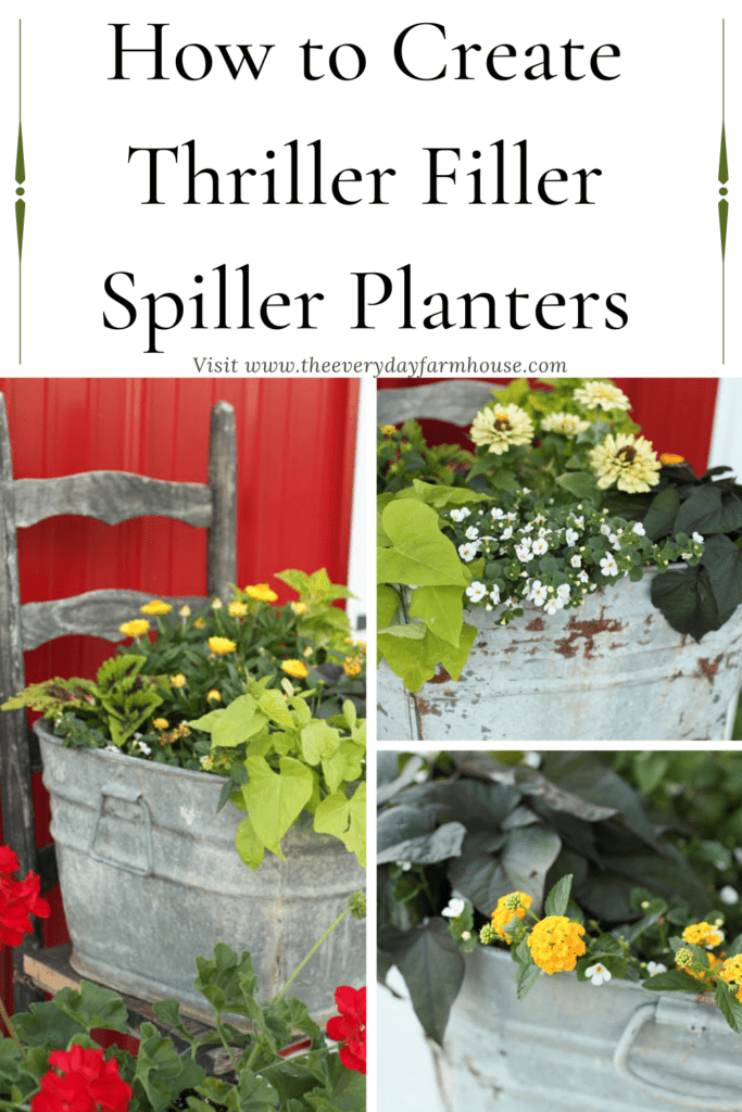 Planting a Tall Planter  Filler Suggestions - Too Much Love