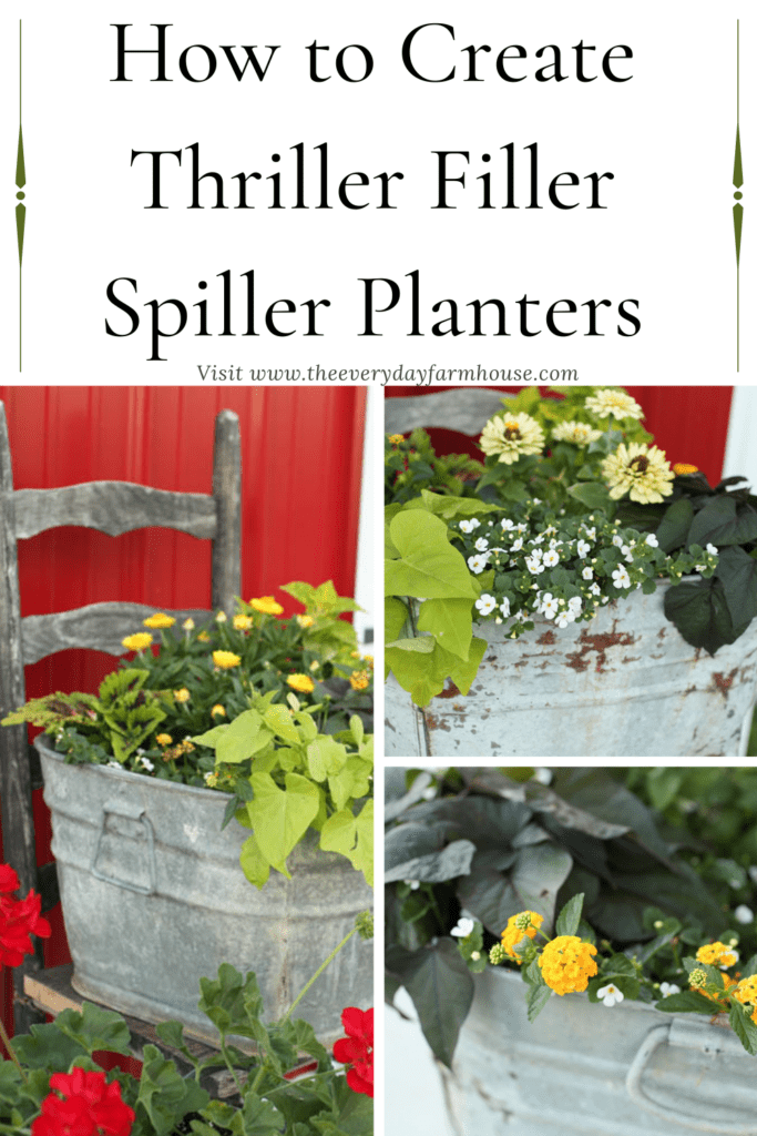 9 Filler Ideas For Large Planters - Marilyn's Way