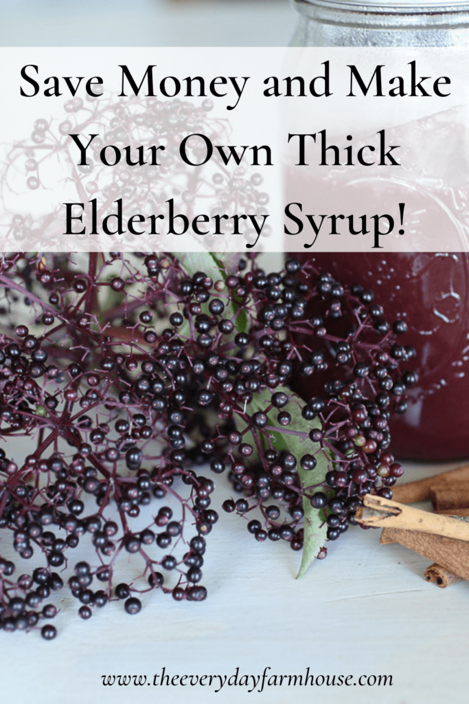 thick elderberry syrup