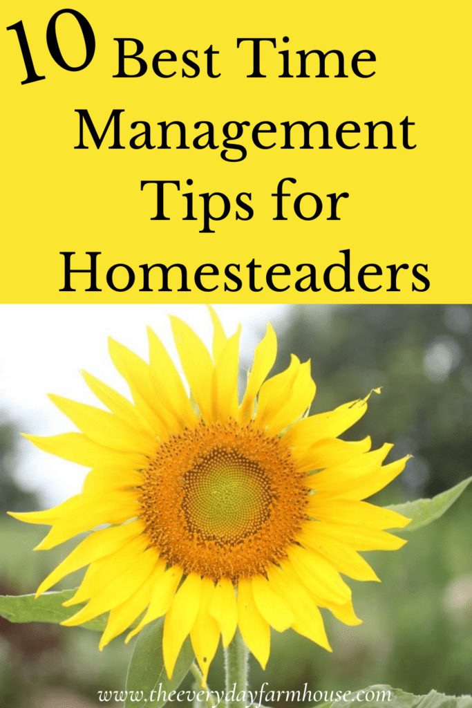 time management for homesteaders