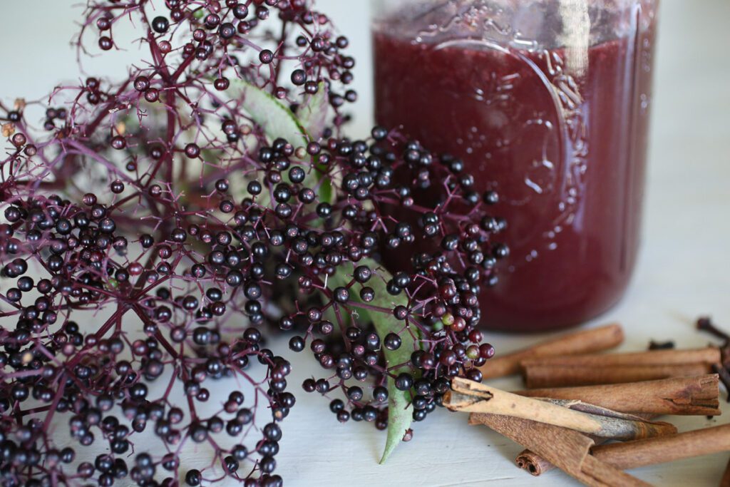 Recipe Thick elderberry syrup