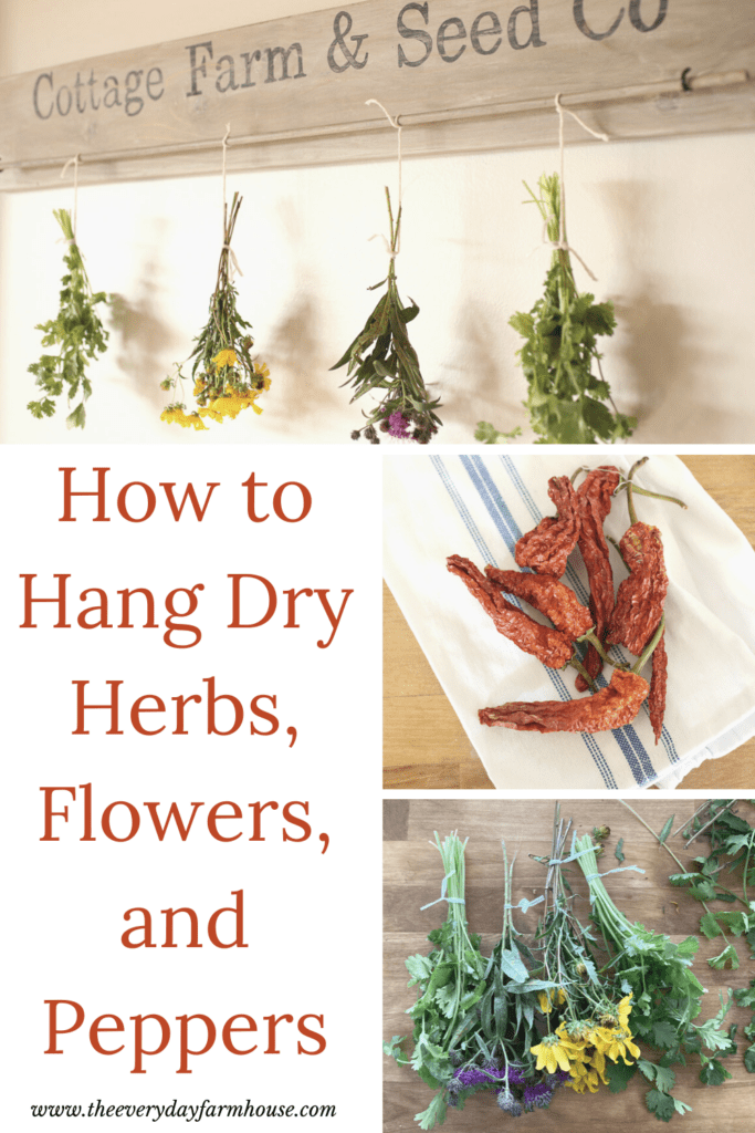 How to Hang Dry Herbs, Flowers and Peppers Naturally - The Everyday  Farmhouse