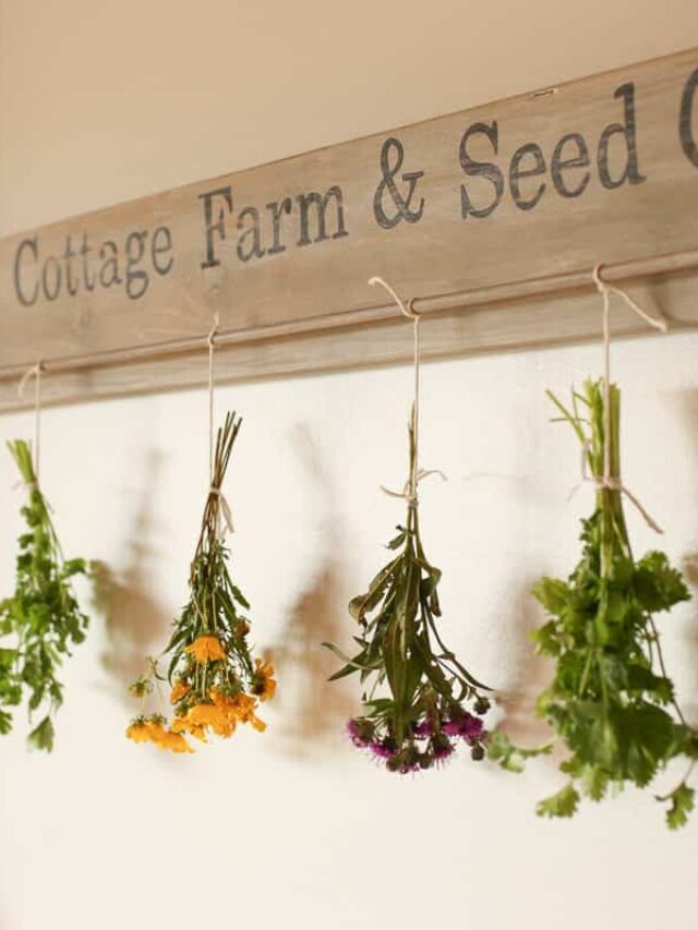 How to Hang Dry Flowers, Herbs and Peppers Naturally