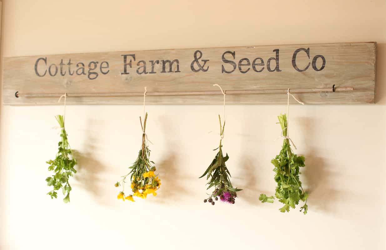 DIY Herb Drying Rack for Hang Drying Herbs and Flowers The Everyday