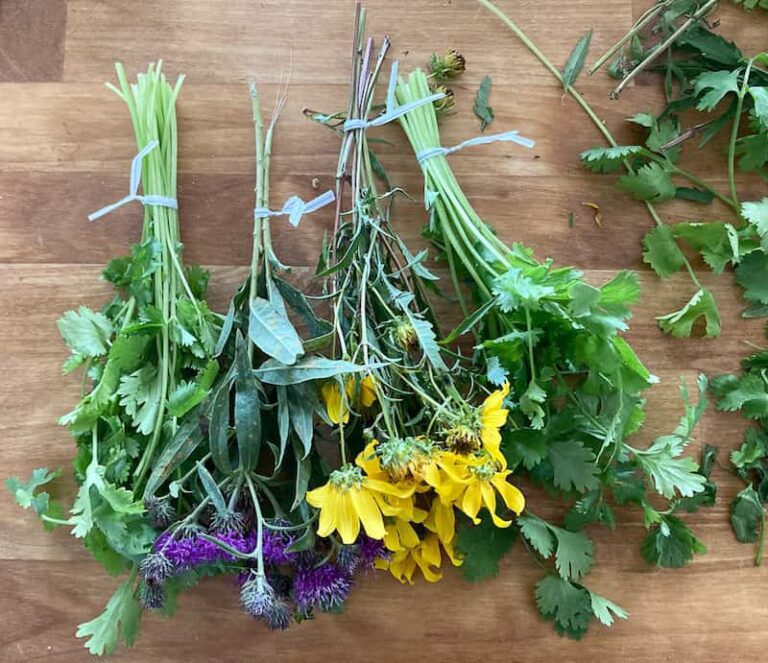 How to Hang Dry Herbs, Flowers and Peppers Naturally