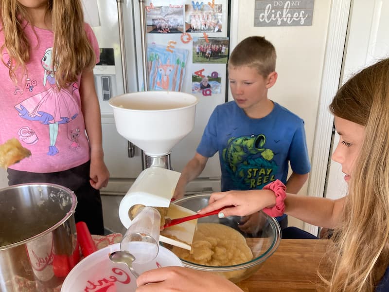 I hope you give this a try and enjoy fresh no-sugar-added applesauce!  You might find that it can become a fun family tradition!