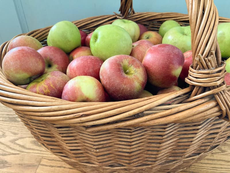 With a few pieces of equipment and some good apples, you can make applesauce that is so tasty you won't need to add any sugar.