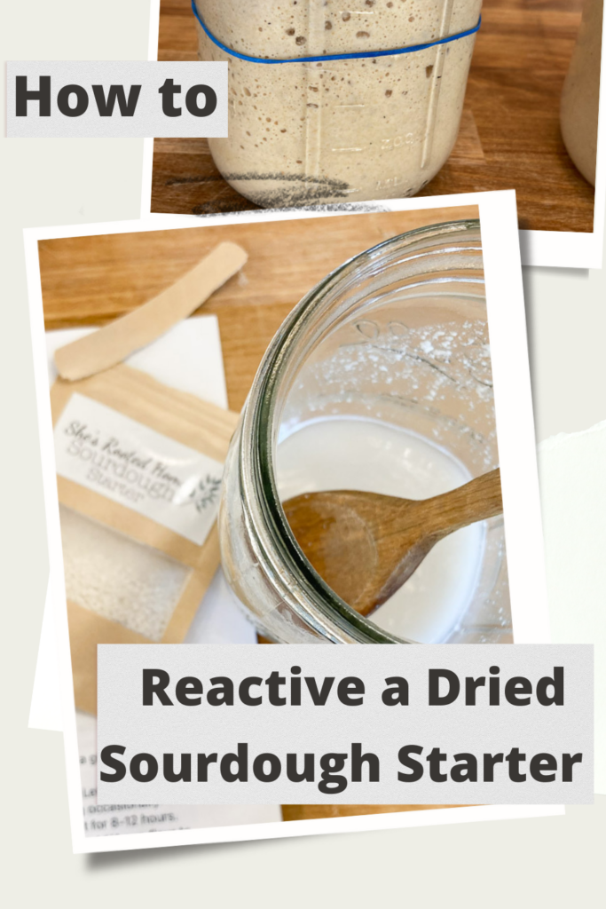 https://theeverydayfarmhouse.com/wp-content/uploads/2022/01/How-to-reactive-a-dried-sourdough-starter-683x1024.png