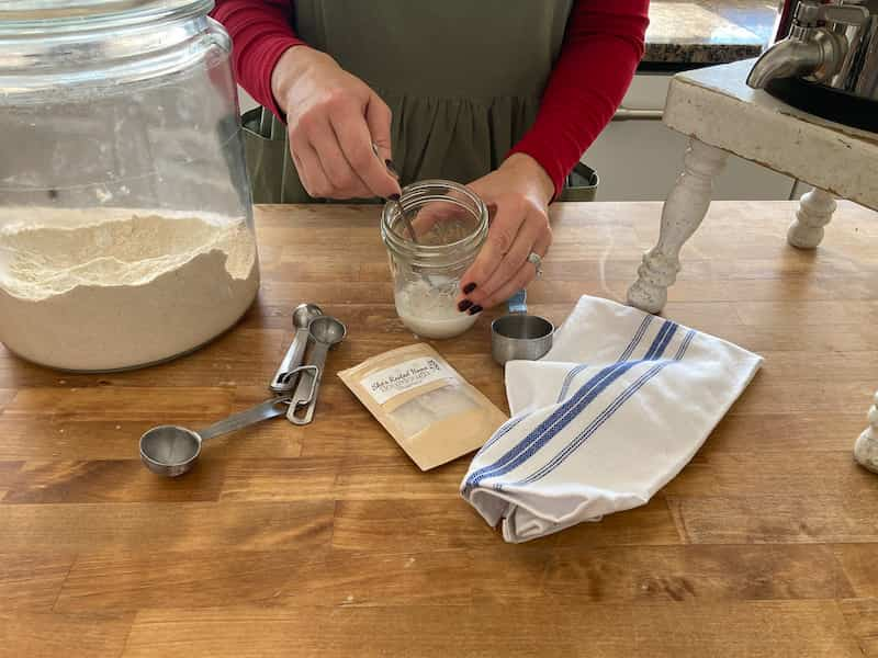 Dehydrating and Activating Your Sourdough Starter - Cultured Food Life