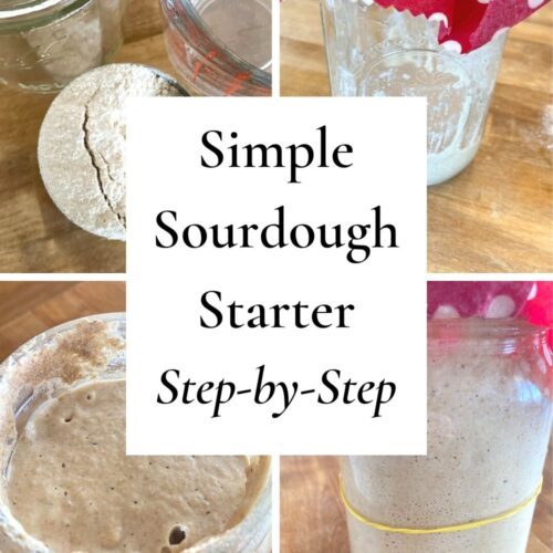 MY FULL MASTER RECIPE PROCESS – The simplest way to make sourdough