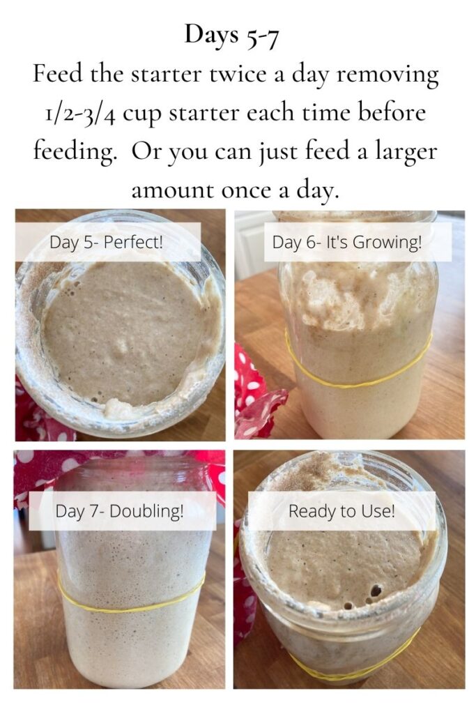 Sourdough Starter Recipe  Simple Easy Sourdough Starter Step by Step - The  Everyday Farmhouse