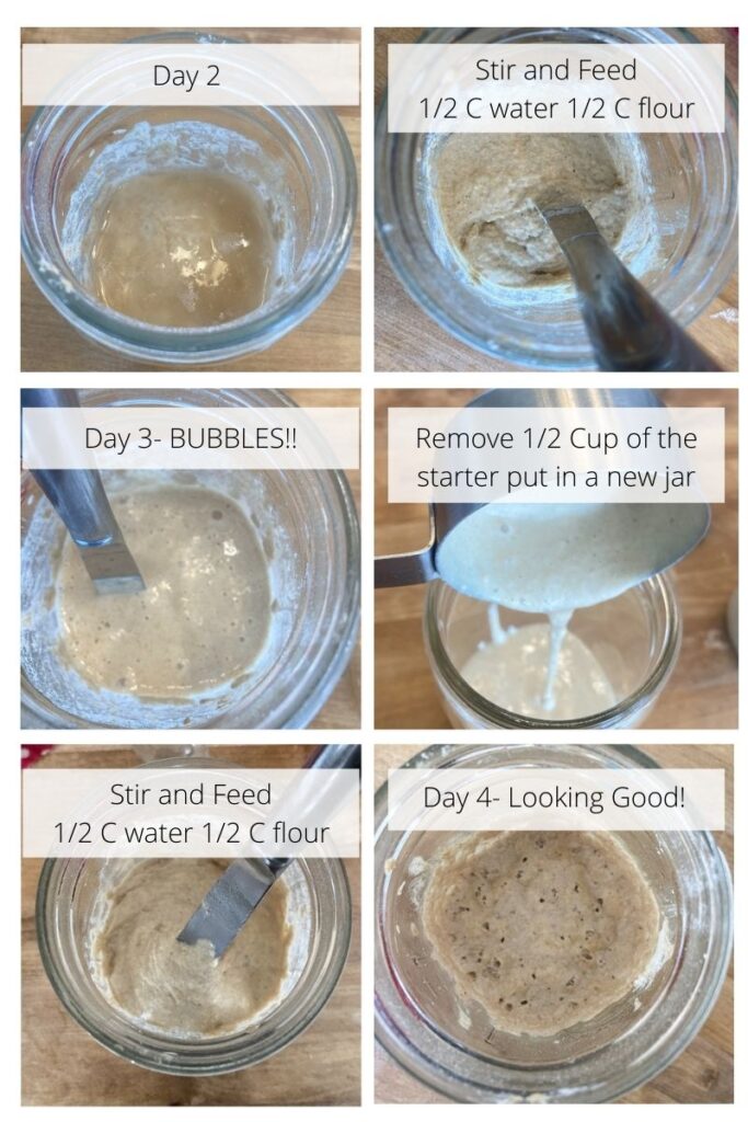 How to make sourdough starter with just 2 ingredients! %%page%%