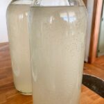 Three Fermented Drinks to Make at Home–Kombucha, Water Kefir, and Milk Kefir Recipes