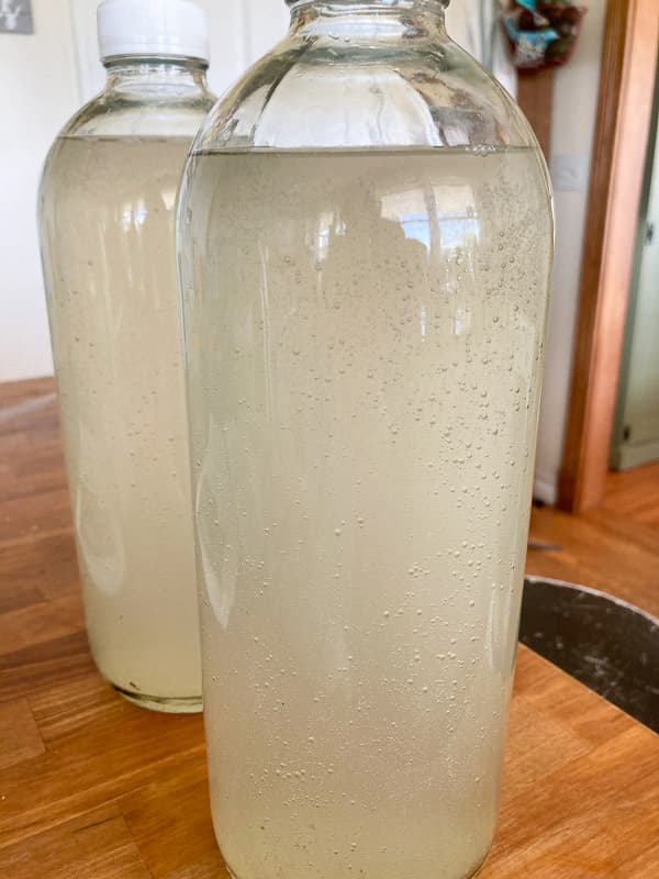 Water kefir is refreshing and a great alternative to sugary lemonade or other fruity drinks.  Here's how to make it!